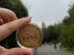 -都江堰中华大熊猫苑