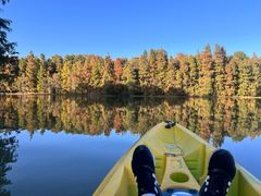 -上海海湾国家森林公园