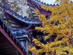 -卓刀泉寺