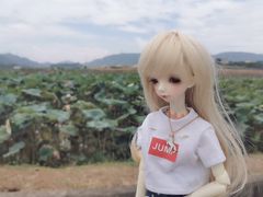 -光明小镇欢乐田园