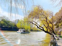 -运河游船(武林门码头)