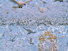 -上海宝龙美术馆