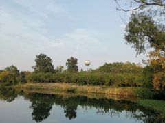 -西溪国家湿地公园