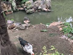 -南通博物苑-崇川人民公园