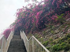 -小南山公园