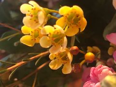 -北京北辰洲际酒店