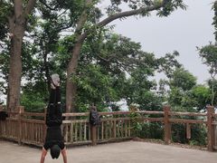 -紫金山山顶公园