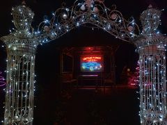 -枫花园汽车电影院(朝阳公园店)