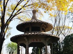 -玲珑塔公园