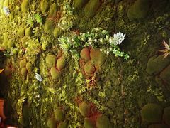 -十一咖啡(青年大街工厂店)