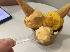 古港木瓜炖雪蛤雪糕-歎雪糕低糖低脂Gelato冰淇淋