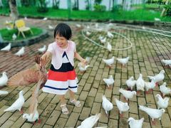 -飞来湖湿地公园