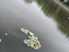 -长春公园(普阳街道)