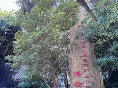 -伍山石窟