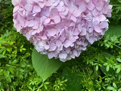 -东山风景区(洞庭东山)