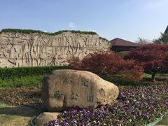 -嘉定紫藤园