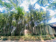 -上海醉白池公园