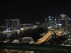 -新加坡瑞士史丹福酒店