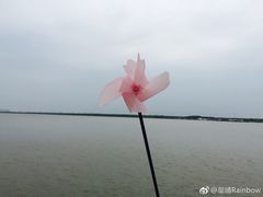 -上海南汇嘴大堤酒店