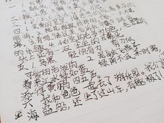 -麦当劳(新王府井店)