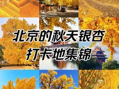 -地坛公园