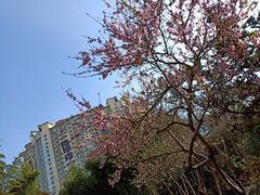 -苏州河梦清园环保主题公园