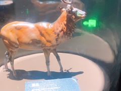 -中国湿地博物馆