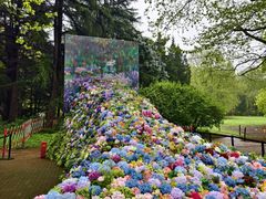 -上海共青森林公园