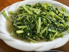 -大树下饭店(春晓镇慈岙社区卫生服务站南)