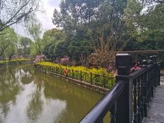 -南汇桃花村