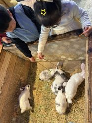 -酷嗒动物文化乐园(cutezoo西溪乐天城店)