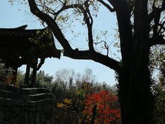 -塔川景区