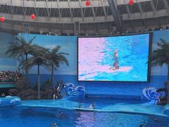 -海合安成都极地海洋公园