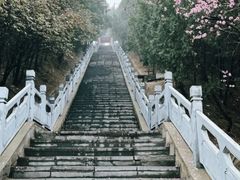 -禹州森林植物园