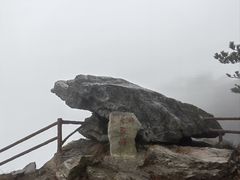 -望庐说·本地菜馆