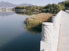 -青龙湖公园