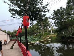 -大队长大灶鹅