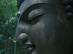 -杭州植物园
