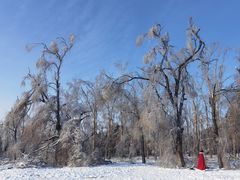 -长春市南湖公园