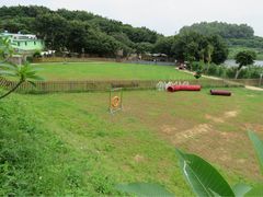 -良成狗狗乐园