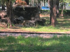 -秦皇岛野生动物园