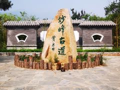 -阳台山自然风景区