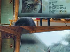 -创艺无限·赵春香微妙艺术馆