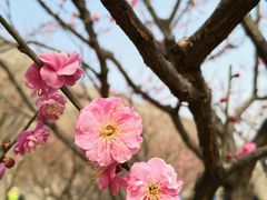 -北京明城墙遗址公园