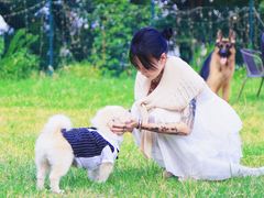 -趣多多宠物公园·宠物训犬学校·宠物寄养