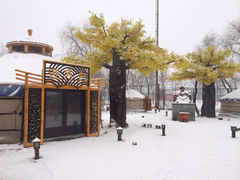 iphone_upload_pic-大汗行宫园林餐厅