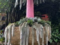 -莫里热带雨林景区
