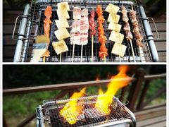 -崇明东平国家森林公园烧烤房车露营地