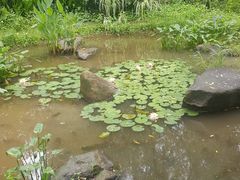-新江湾城公园