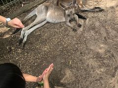 -费瑟代尔野生动物园